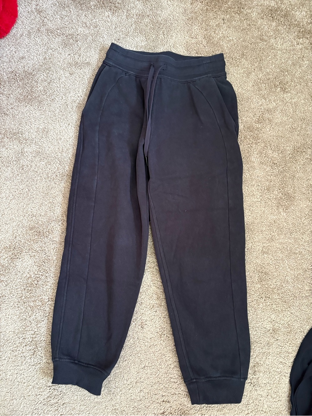Lululemon Scuba Jogger